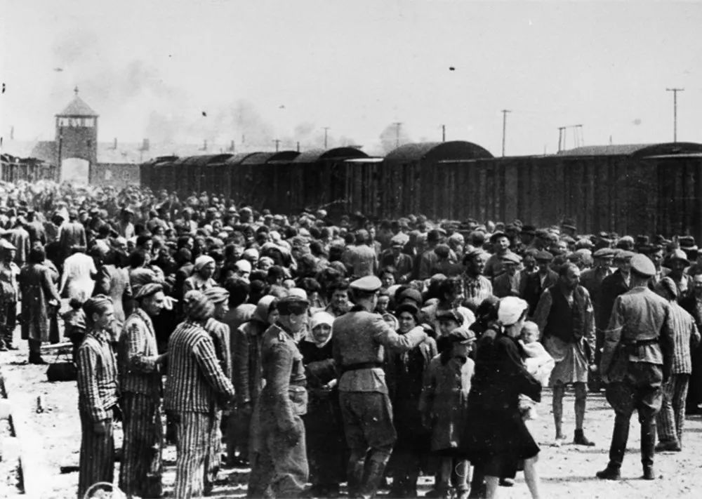 恐怖片闪灵全集,恐怖片闪灵剧情解析