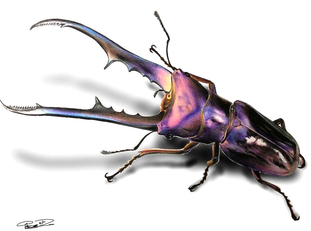 失明女孩铅笔画,保护视力守护心灵素描画