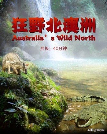 上海科技馆游玩攻略,上海科技馆亲子游玩攻略