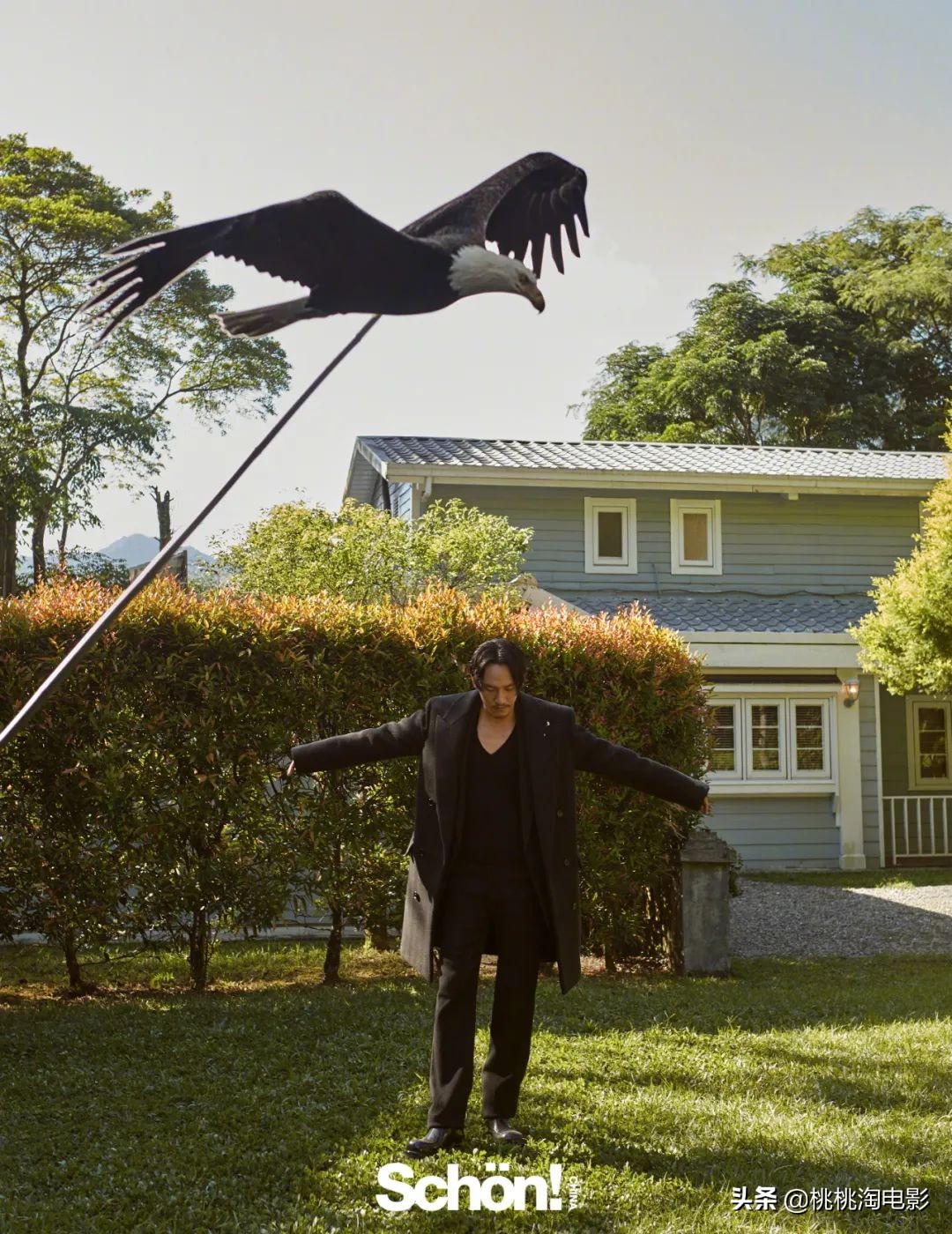 张震新片沙丘,张震图片写真