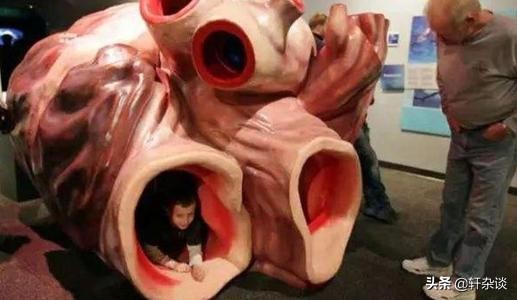 世界上最大最重动物,从古至今陆地上最大的动物