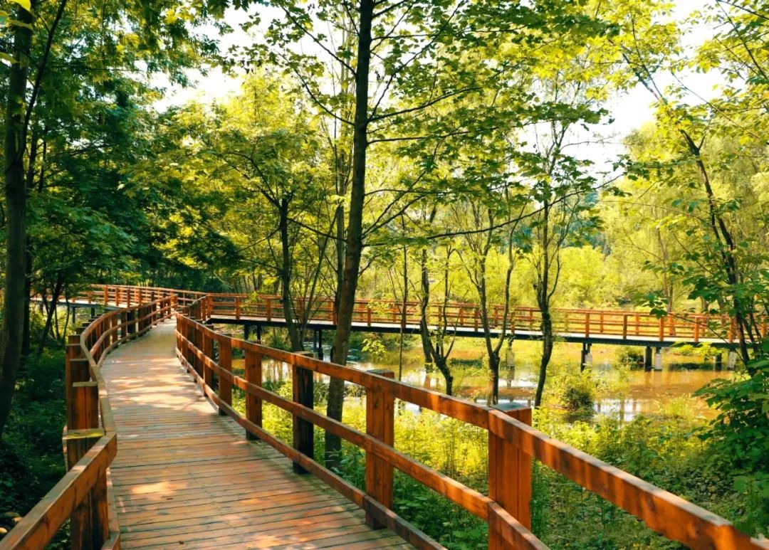 成都绿道被隔开,成都被3条路包围的楼盘