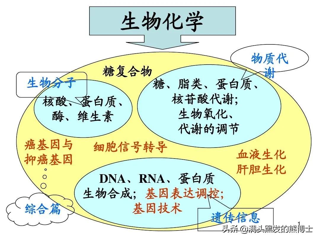 生物化学与分子生物学就业前景,研究生生物专业就业前景怎么样