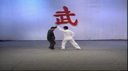 螳螂拳的实战杀法,最猛螳螂拳全套慢动作教学