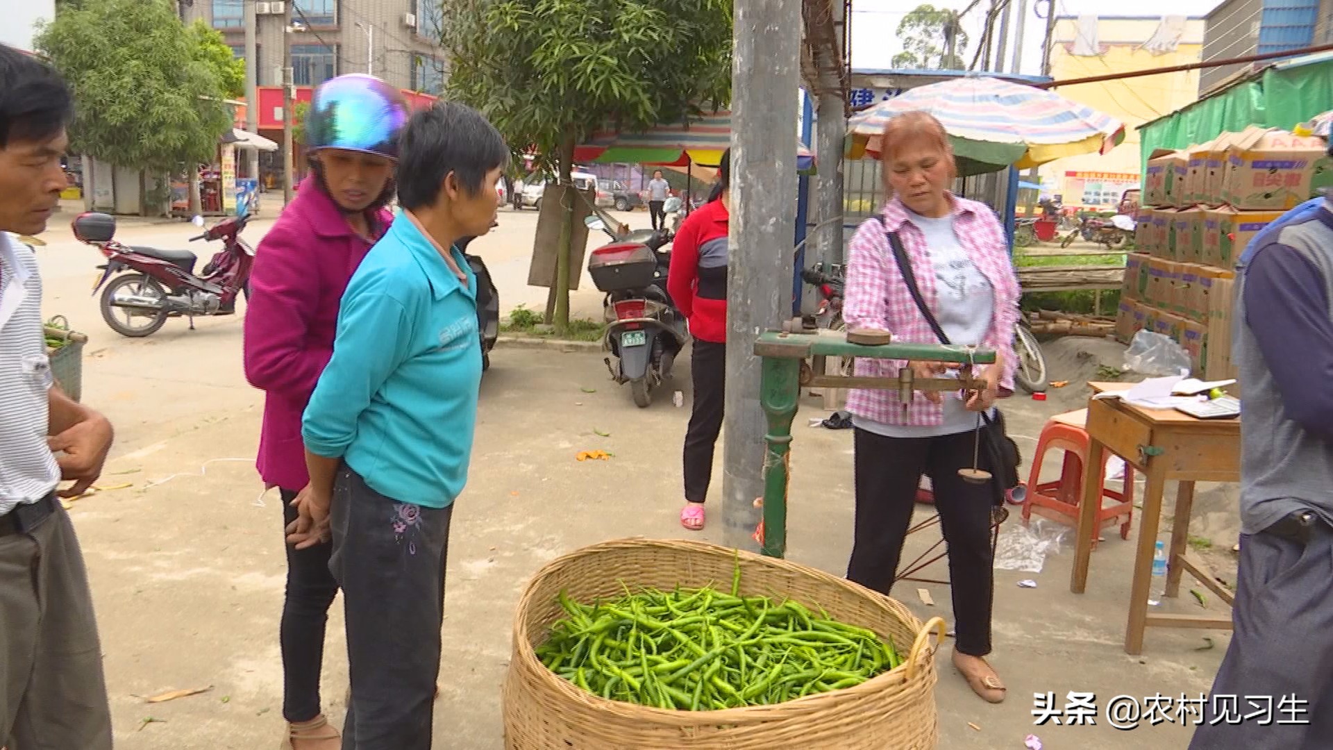 湖南辣椒卖出天价,湖南本地辣椒几百一斤
