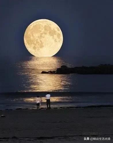 祭月和赏月还有拜月意思一样吗,关于中秋节祭月拜月范文