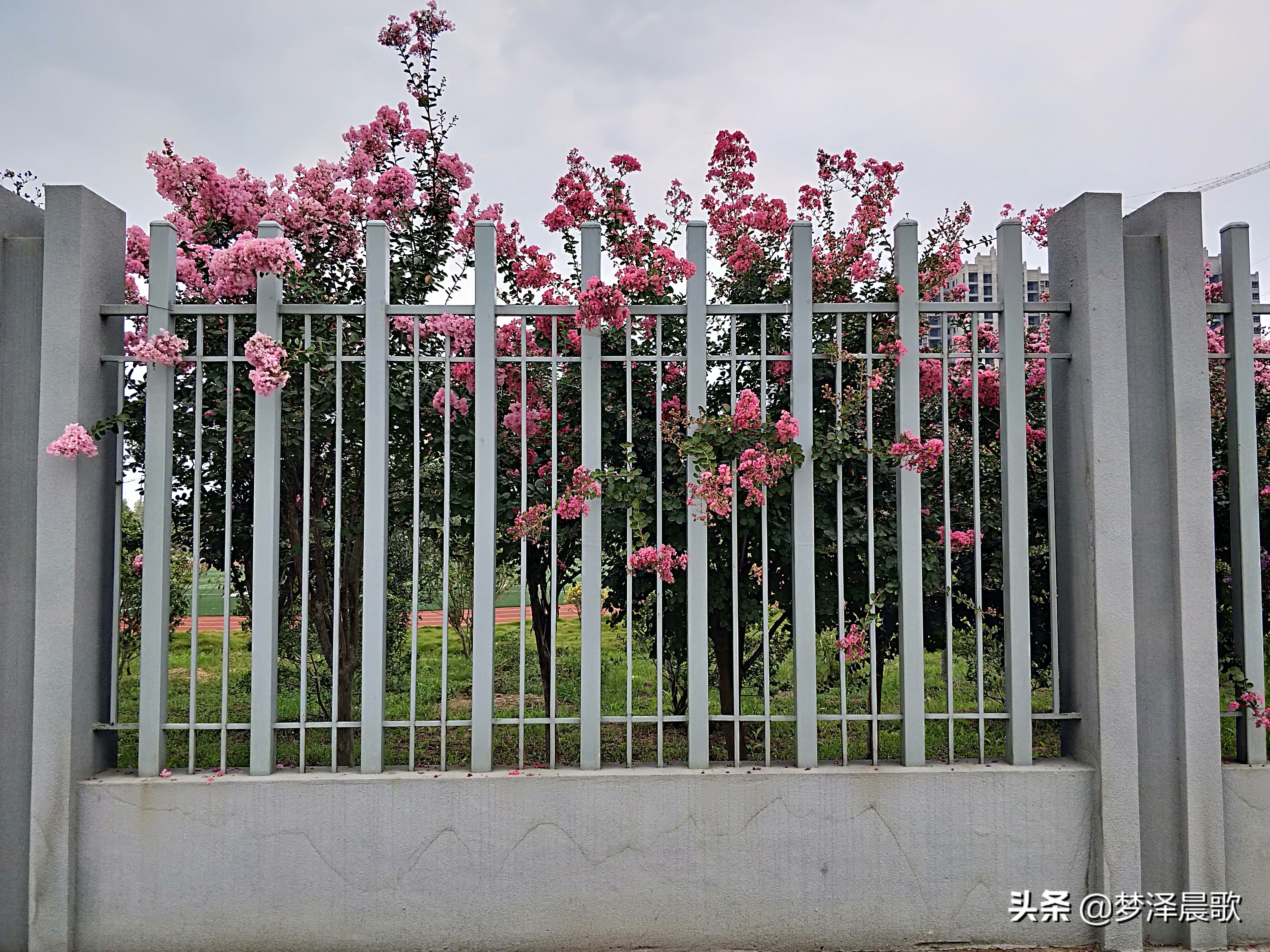 云梦县黄香小学好吗,云梦县黄香小学全貌图