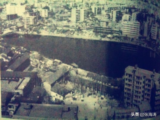 陈英:我的父亲与宜昌五中