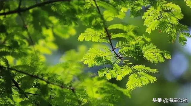 无锡十大免费公园排名榜最新,无锡晚上公园免费景点