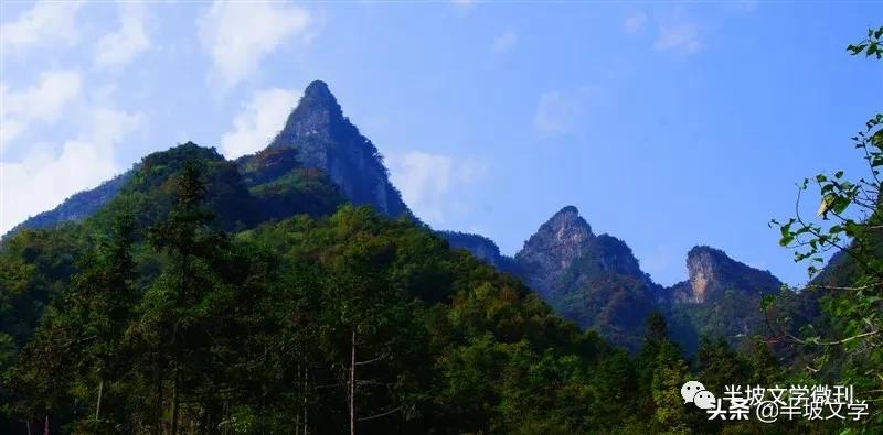 我心中燃起了一柱香，一份沉重的思念，到了清明节思念更浓！