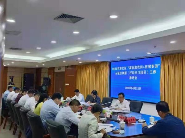 说干就干干就干好——“乡村振兴+行动学习”各试点项目相继点燃“星星之火”