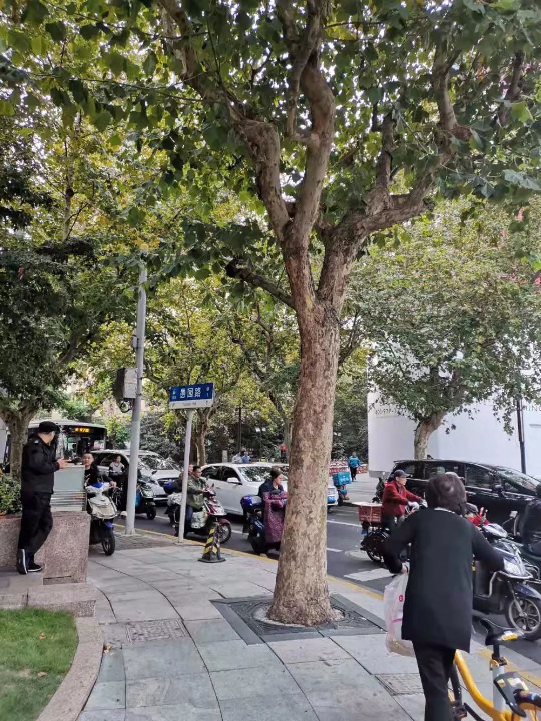 他听了我的话,在上海买了这套房,从此以后飞黄腾达