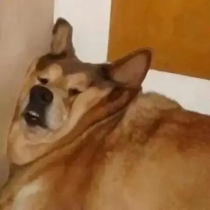 沙雕闺蜜头像四人一人一张,沙雕闺蜜头像新年款