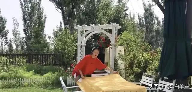 继张馨予之后，娱乐圈再出美贤妻，苗苗愣是把郊区别墅变世外花园