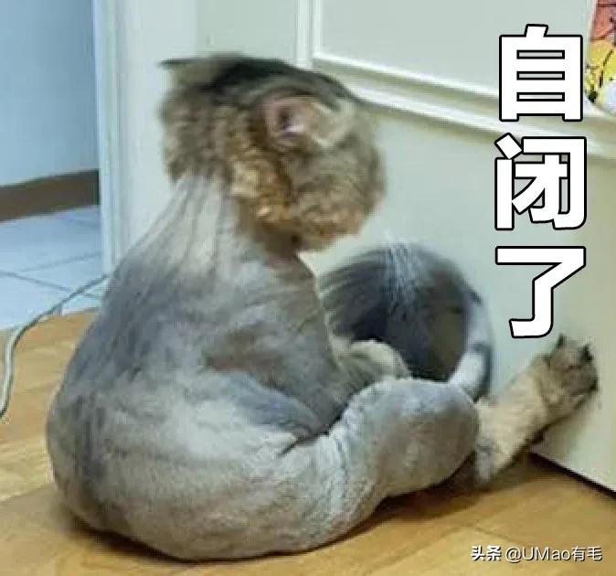 做好这几点远离呼吸道疾病,做好这八点让你轻松管理