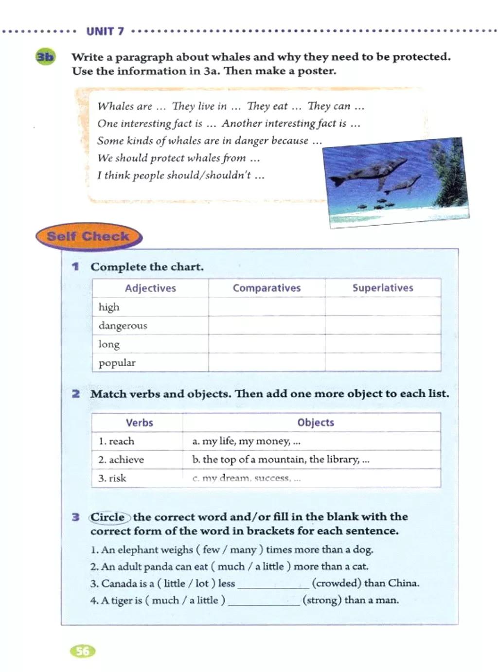 寒假复习预习书英语,人教英语八下预习寒假