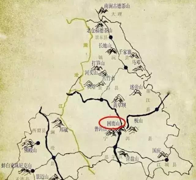 谁才是真正的皇家贡茶,皇家贡茶有多厉害