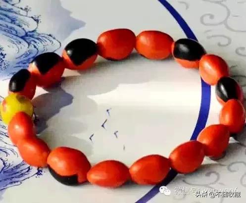 最不常见的菩提,10年以上的菩提