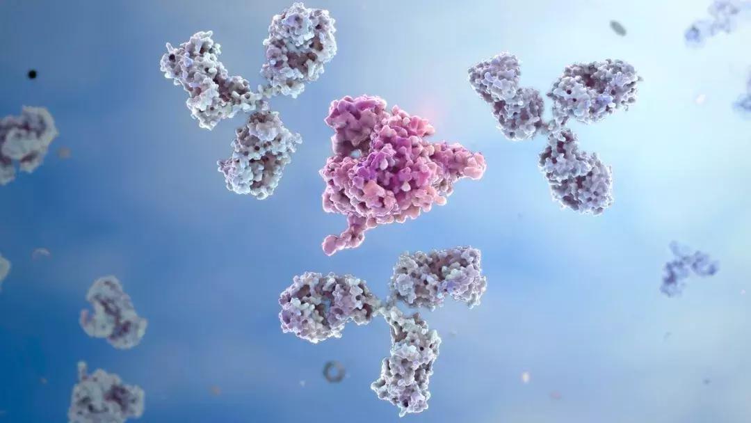 杀死癌细胞的针剂研发出来了吗,药物杀死癌细胞的过程