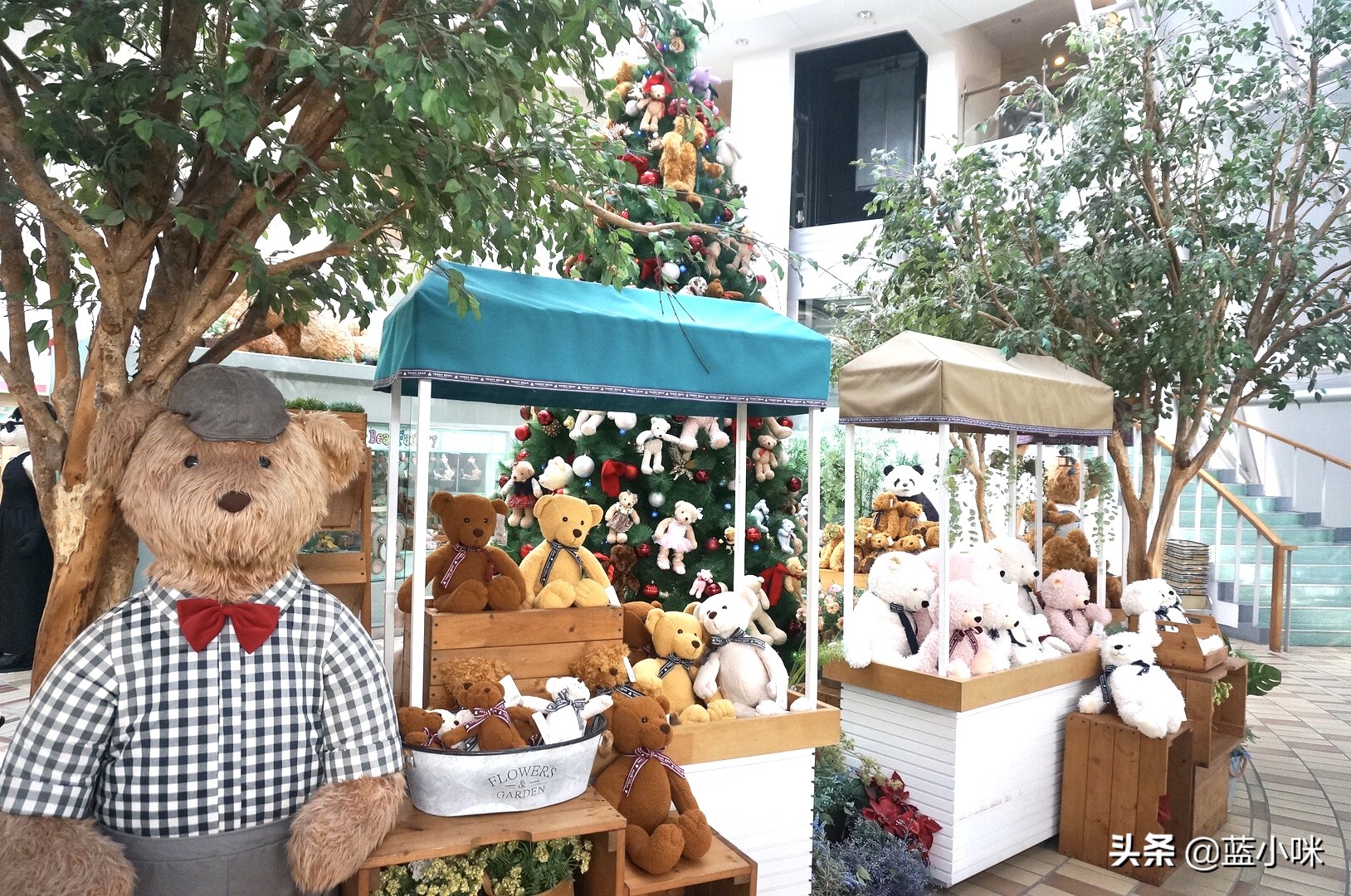 济州岛攻略第一次出国,济州岛超全攻略