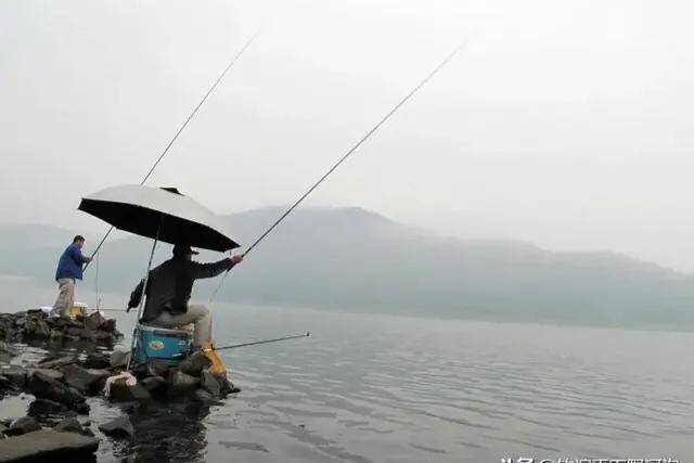 高手分享钓大鱼的5个必备技巧,水越浅钓的越远吗