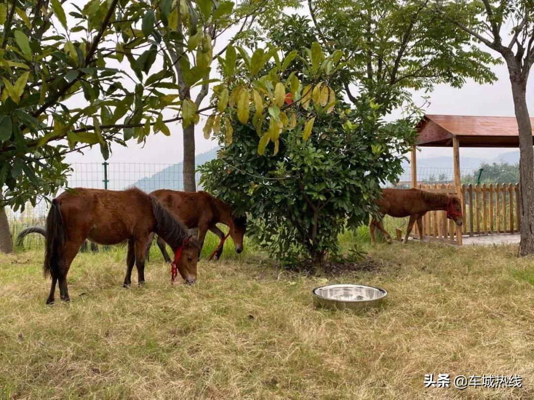 十堰市雨过天晴,十堰市晴好天气