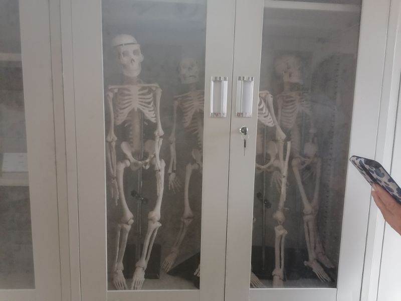 乡村学校生活变化,乡村学校的近几年发展变化