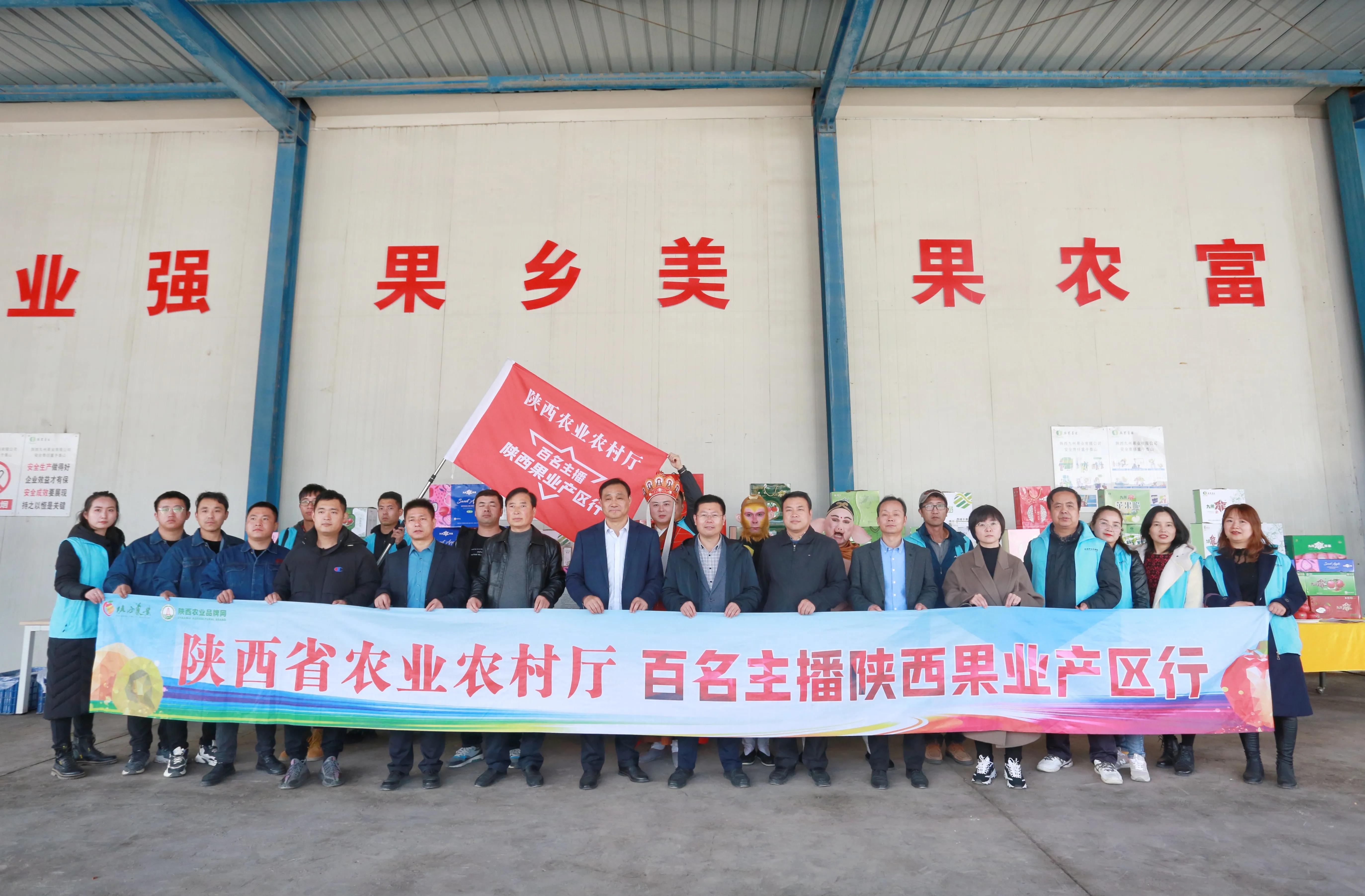 陕西铜川果品,铜川印台镇果业