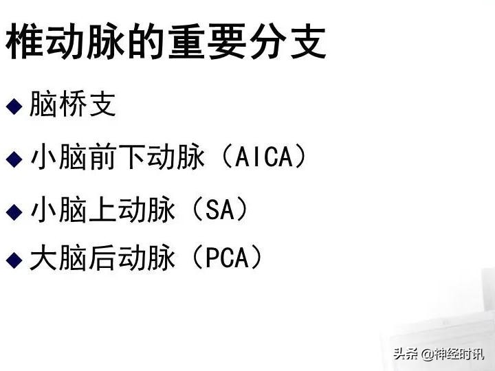 脑动脉解剖学讲解,基底节区脑血管解剖