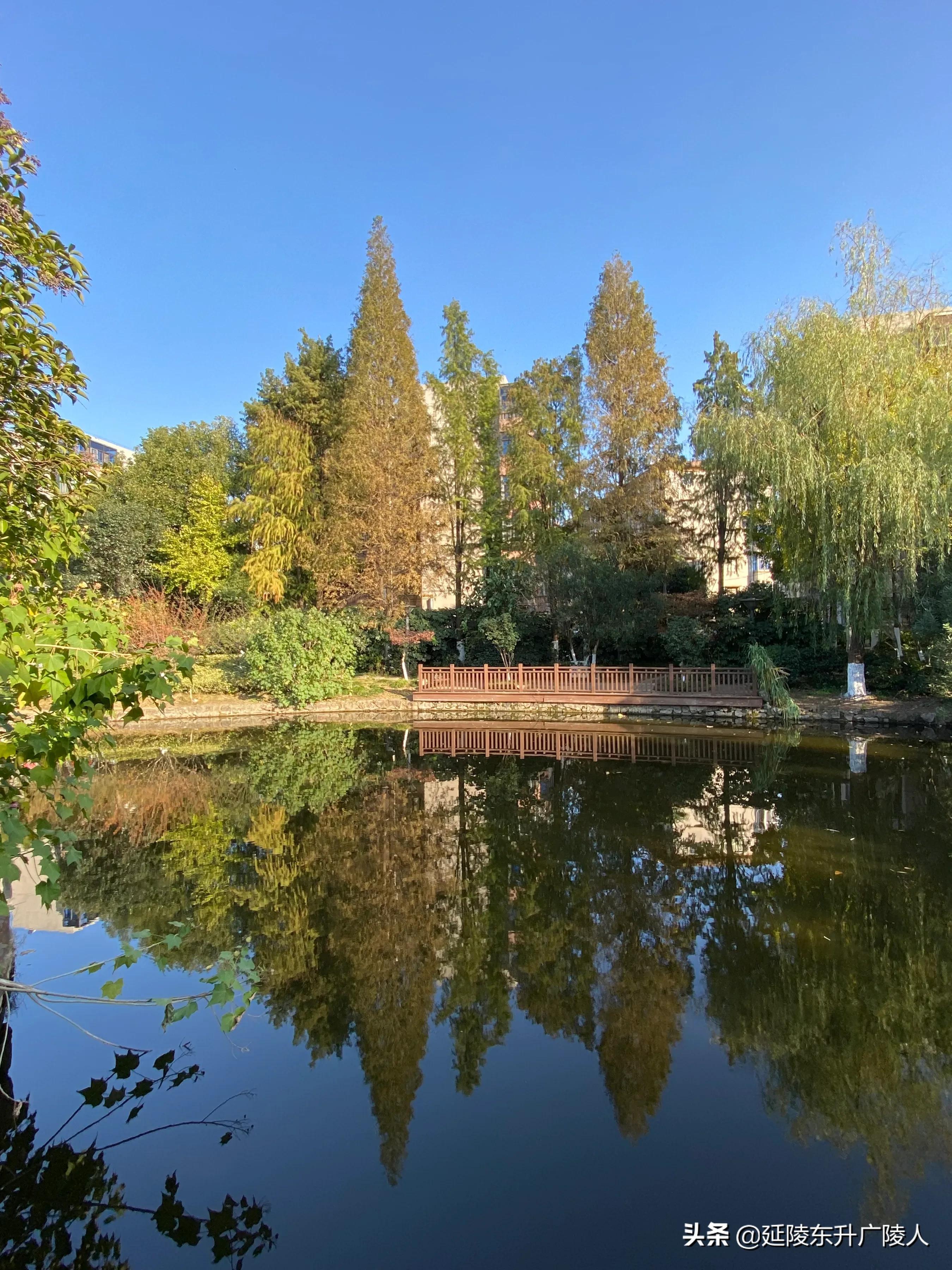 常州戚墅堰花溪公园溪事亭翠微亭烈士纪念广场戚机厂生活区的公园