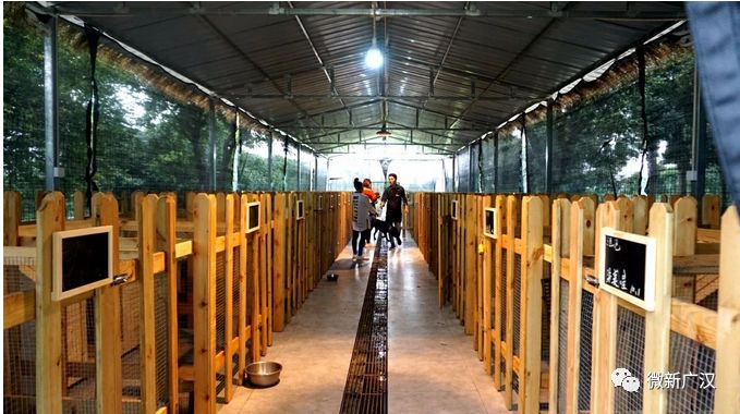 游记|来和兴吧!这里的美景美食每一样都超skr~