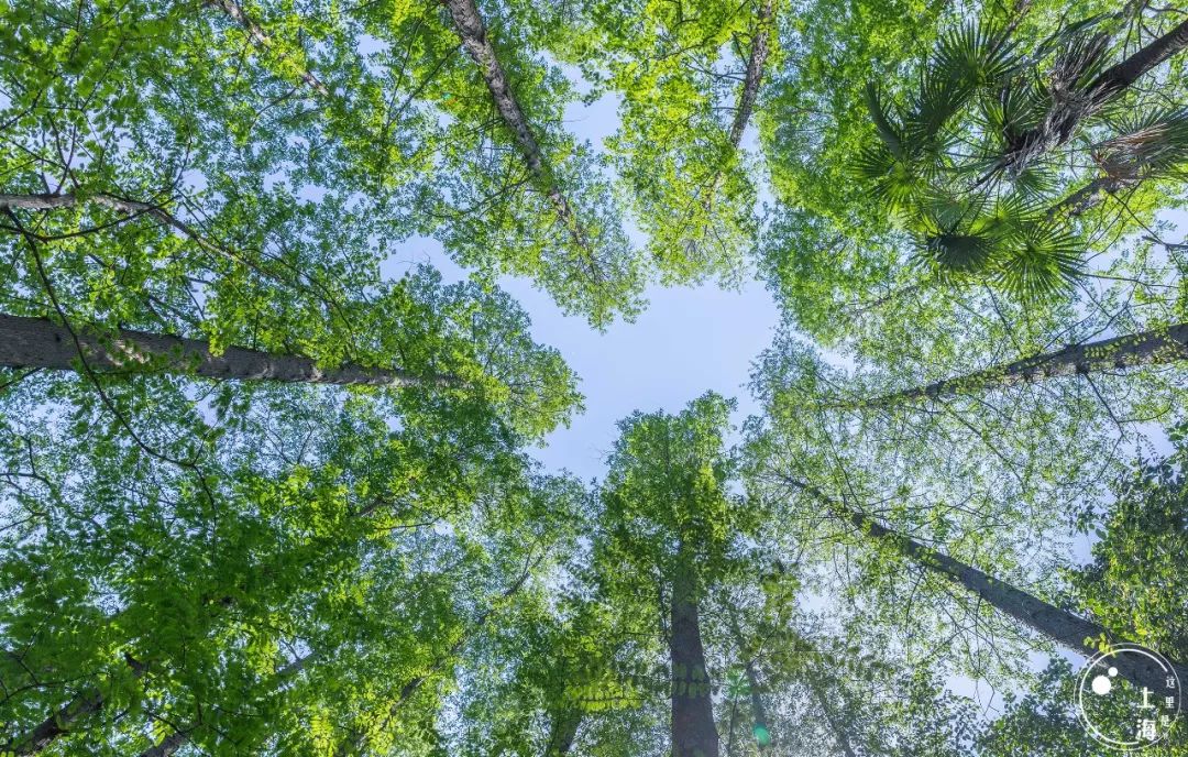 对不起，我要回黄浦了