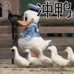 罗湖医院集团首届广东省助产专科护士培训实践圆满结束