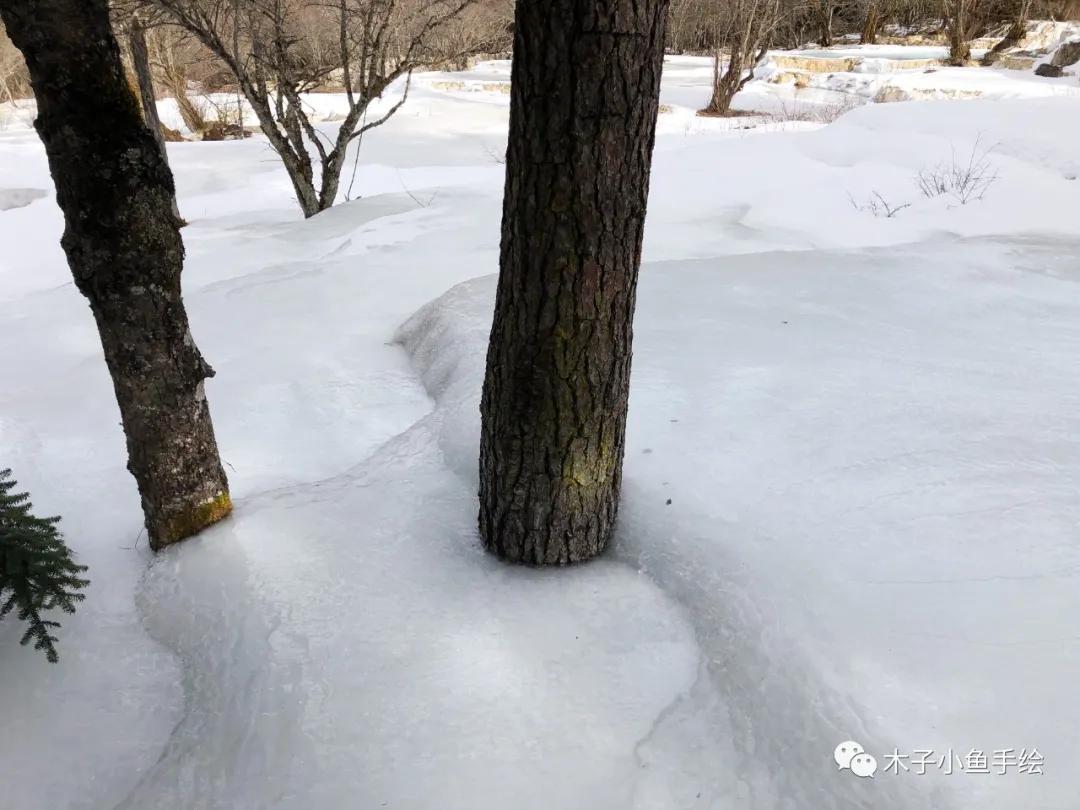 2021九寨沟官方视频,九寨沟跨年夜