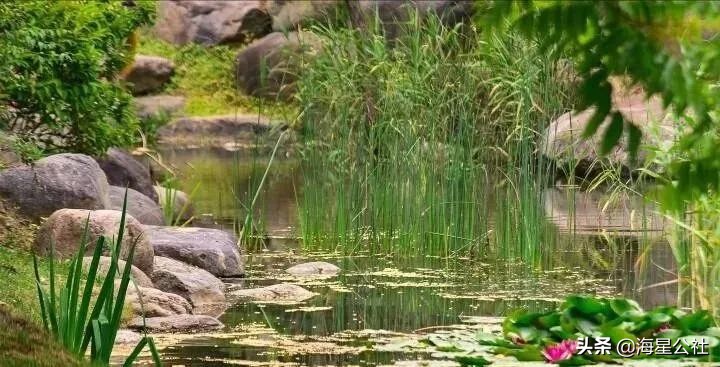 无锡十大免费公园排名榜最新,无锡晚上公园免费景点