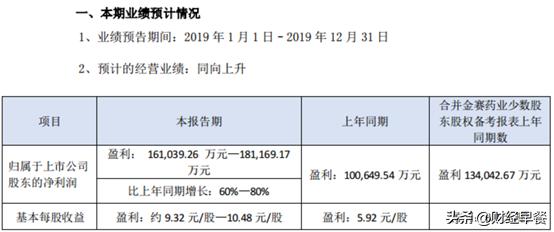 长春高新集团,长春高新企业简介