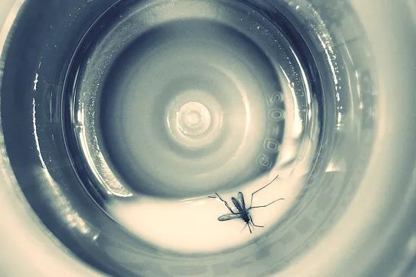 破解数学千年难题,破解百年数学之谜