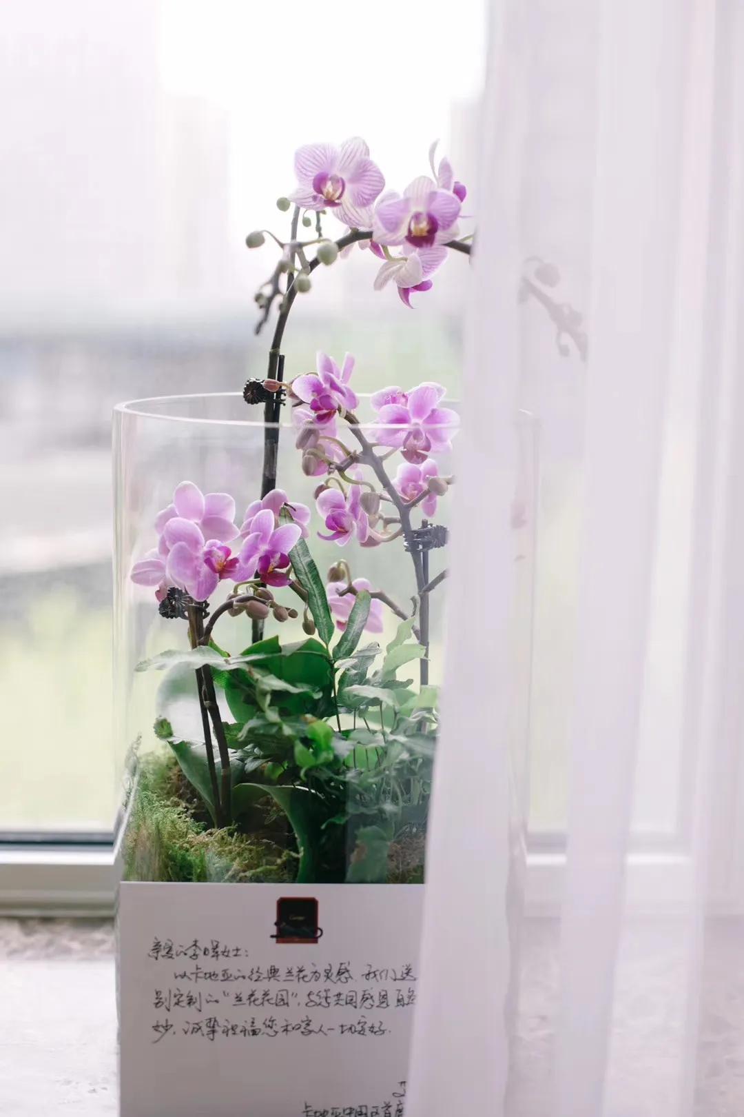 晖货清单|520礼物收不停,进来一起吃柠檬