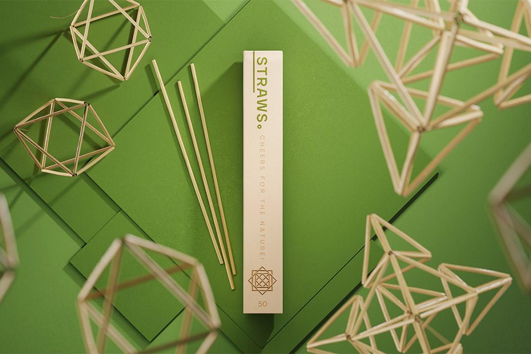 爱护地球环保主题手工,地球环保设计