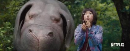 高口碑商业片电影,娱乐性连续剧