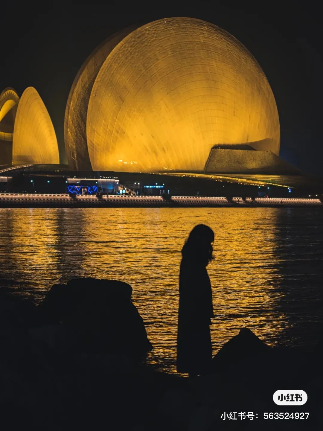 我去了最适合谈恋爱的珠海，回来却还是个单身狗