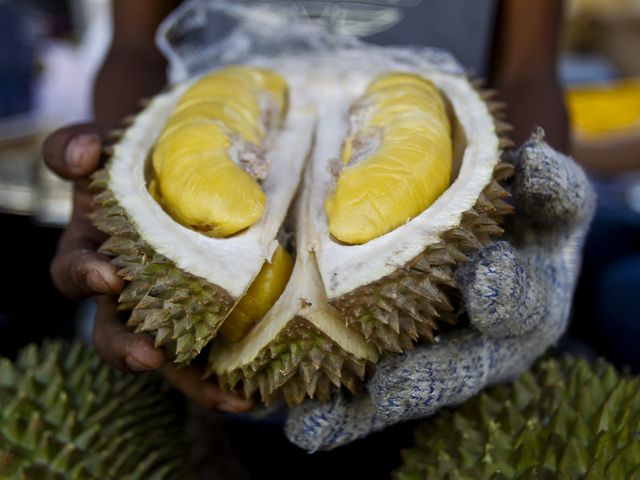 鑸屽皷涓婄殑鍩熷椹潵瑗夸簹姒磋幉妗ｆ,鍝佸皾椹潵瑗夸簹姒磋幉