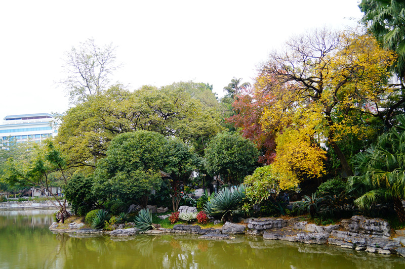 柳州的柳侯公园景色,柳州的秋天美景