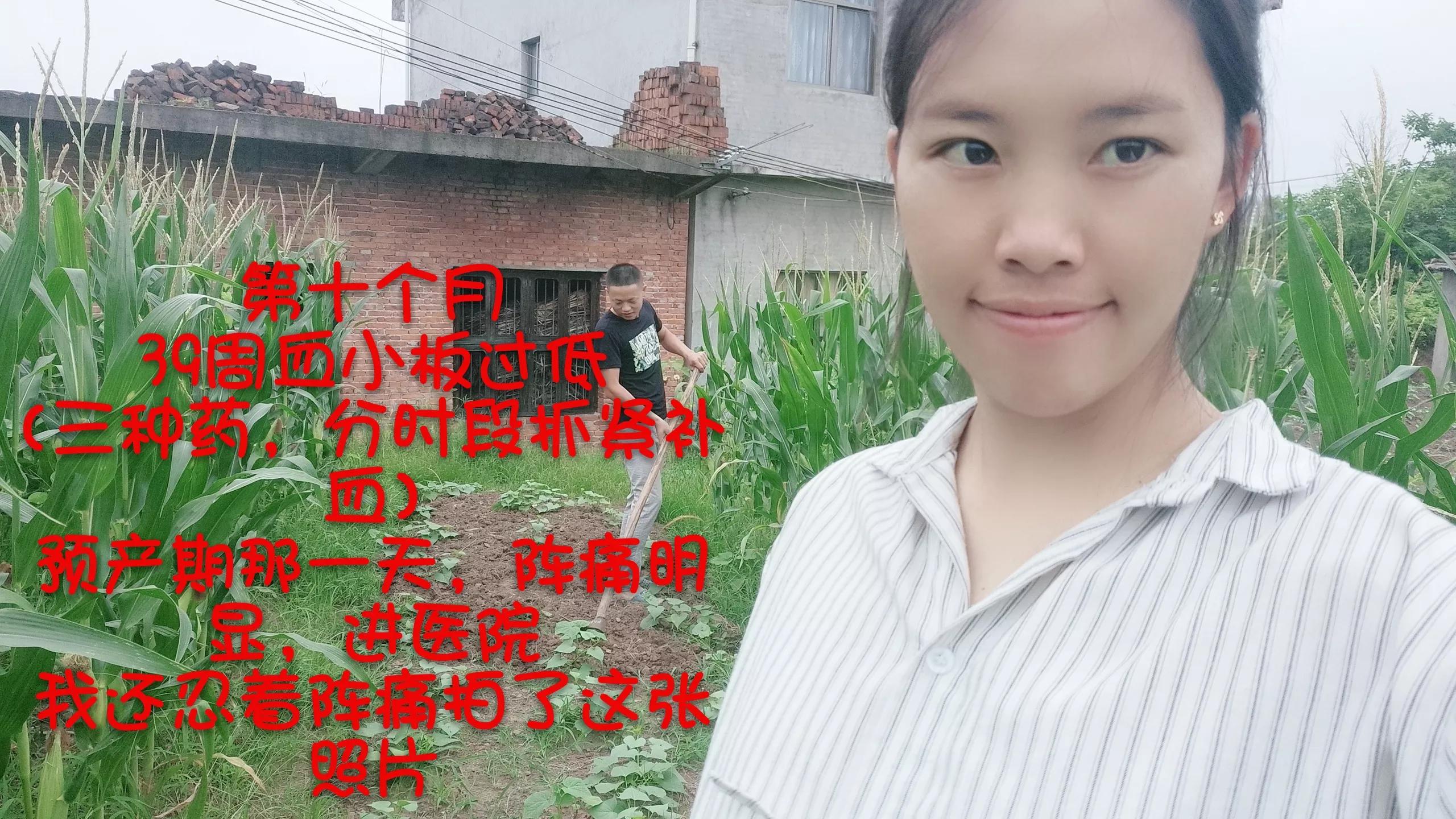 小陈陈舞蹈视频全集,小陈陈教学视频全集