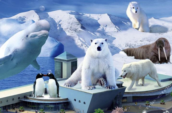 深圳小梅沙海洋世界特价,深圳小梅沙海洋世界团购票多少钱