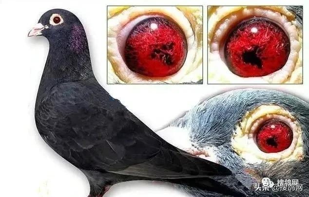 中国最古老的碑文,中国最古老的铭文