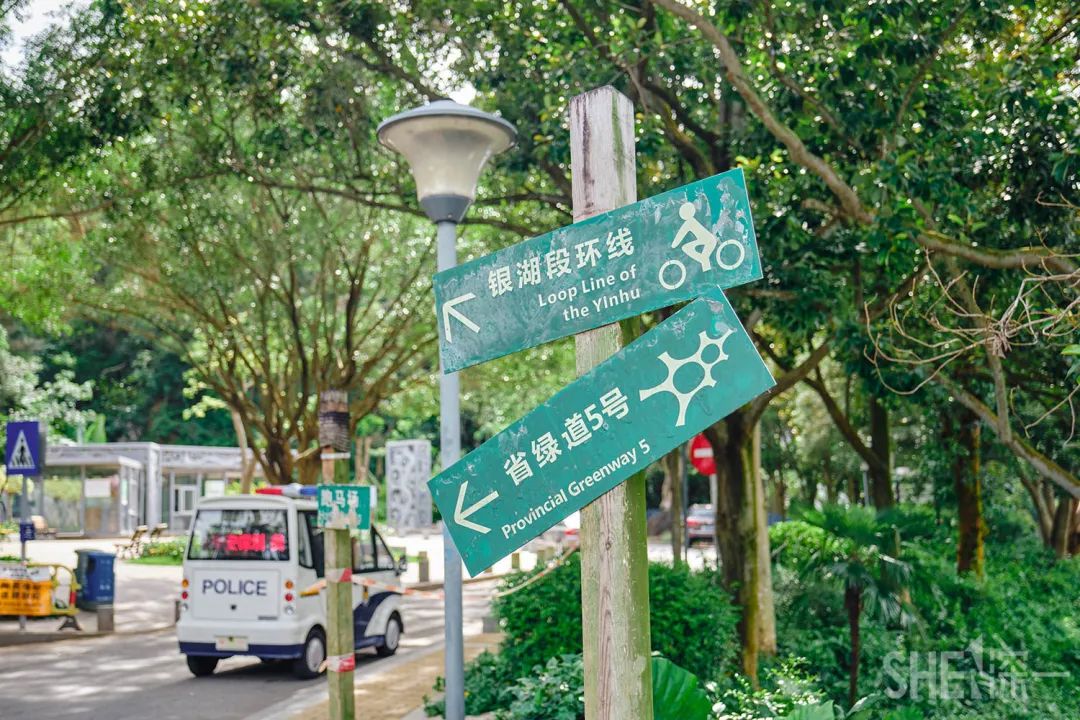 罗湖发达吗,罗湖区的实力到底有多强