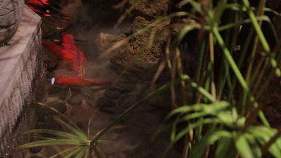 人均60的餐厅带舞台,60人一桌的餐厅