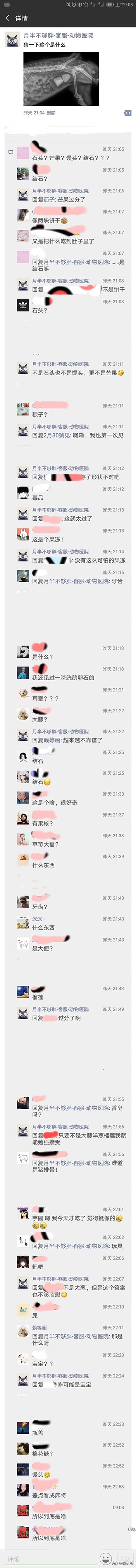 10张让人不寒而栗的图片,猫咪x光正常图片