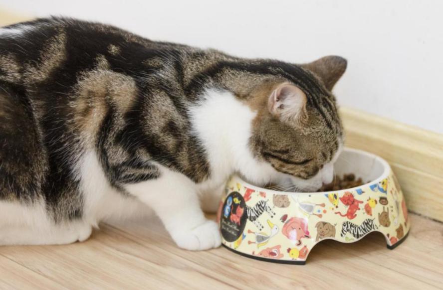 鍏荤尗濂界墿鍒嗕韩618鍥よ繖浜涘氨澶熷暒,鍏荤尗蹇呭洡濂界墿